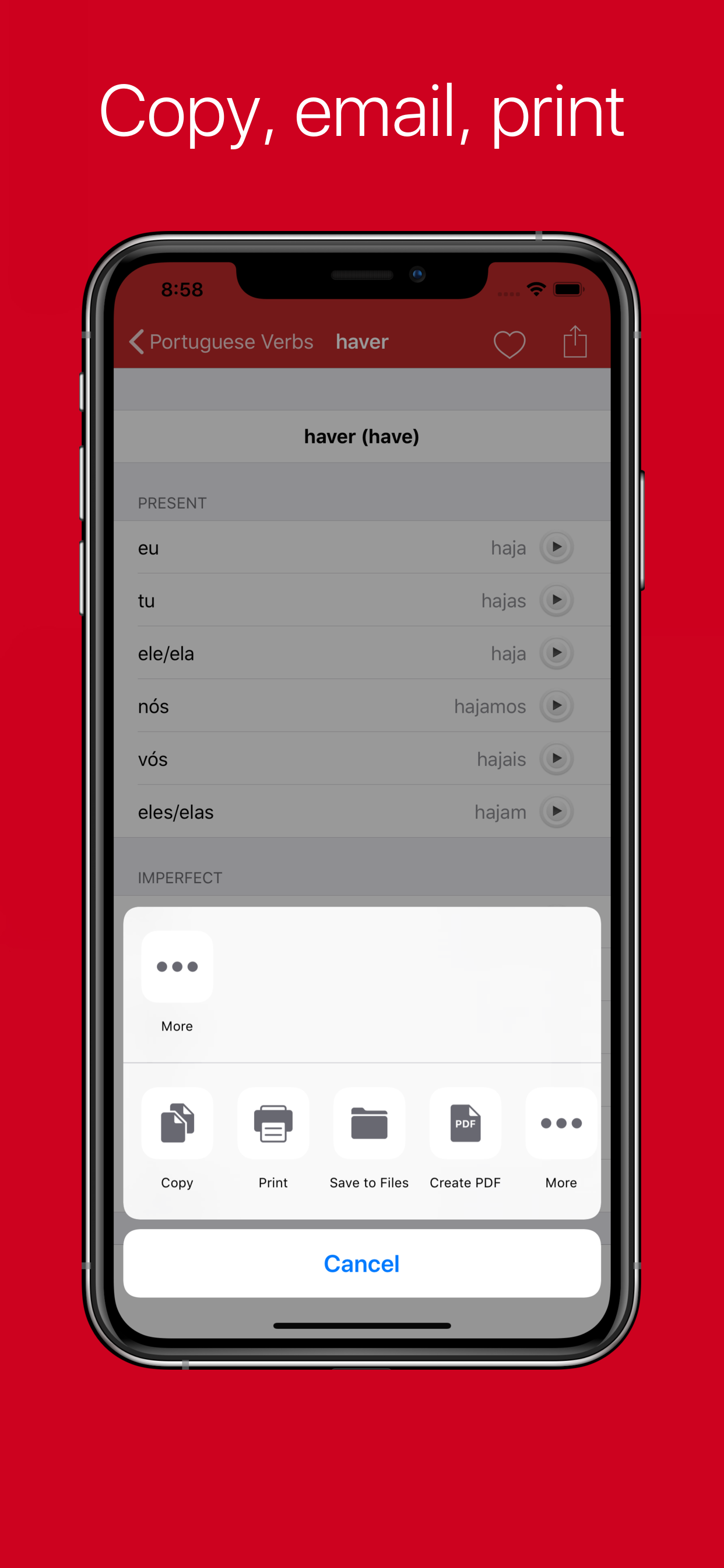 Portuguese Verb Conjugator Pro