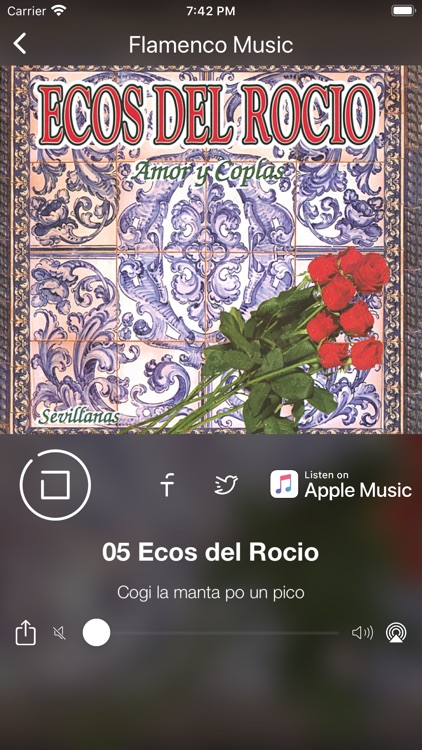 Música Flamenca y Sevillanas screenshot-5