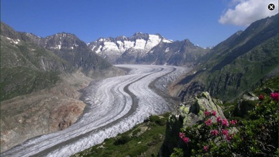 Fleurs des Alpes Finder Europe Fleurs des Alpes Finder Europe
