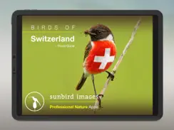 Birds of CH -Photo Guide iPad image 1