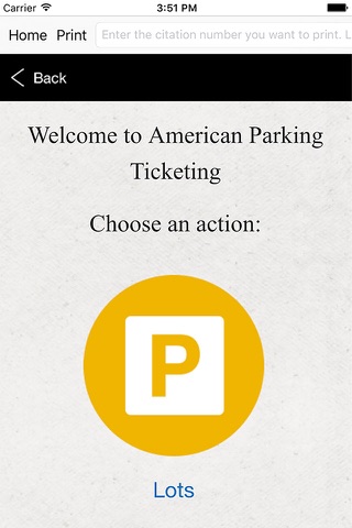 American Parking Ticketing - náhled