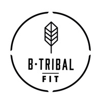 BTRIBALFIT pour PC