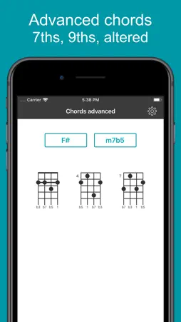 Mandolin Tuner EM-1 screenshot 5