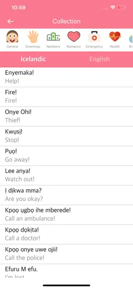 Game screenshot Icelandic English Dictionary! mod apk
