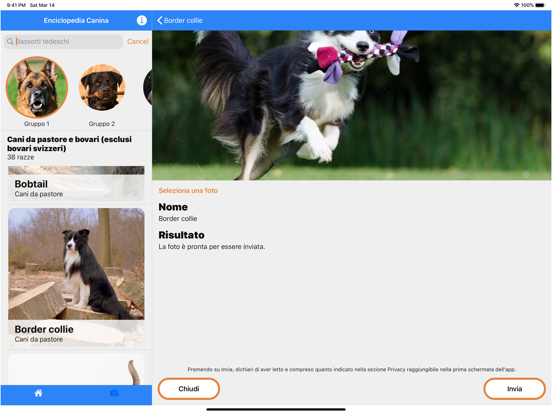 Screenshot #5 pour Enciclopedia Canina