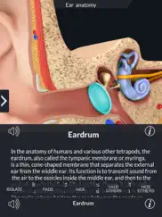 my ear anatomy ipad resimleri 3