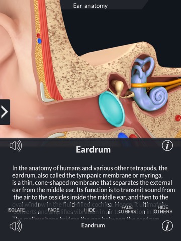 My Ear Anatomyのおすすめ画像3