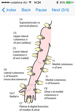 Instant Anatomy App Collectionのおすすめ画像8