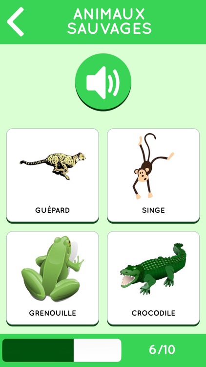Learn French for beginners