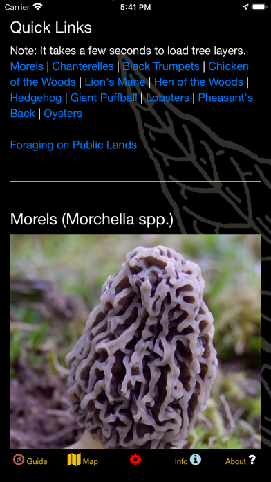 Minnesota Mushroom Forager Map screenshot 4