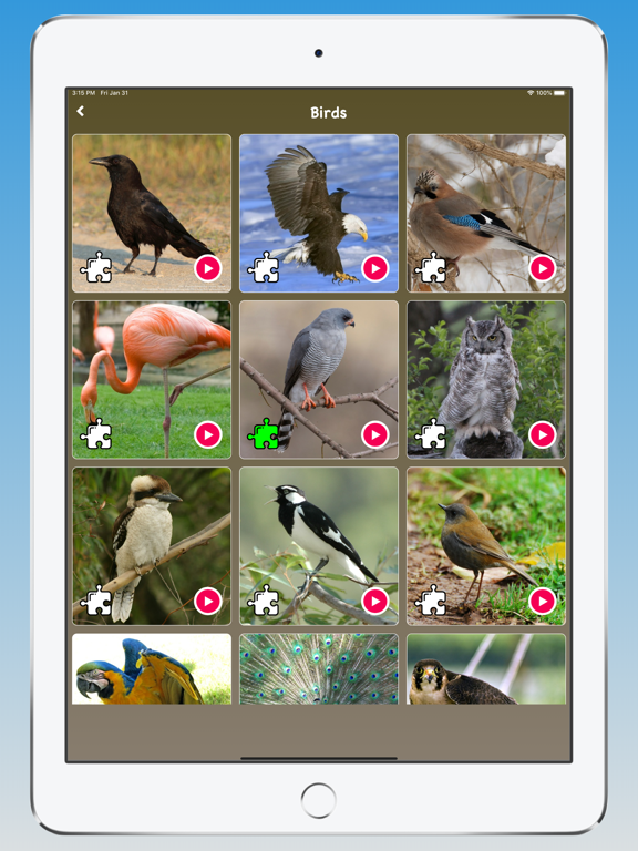 Animal Sounds, Animal Language iPad screenshot 4 - Education app
