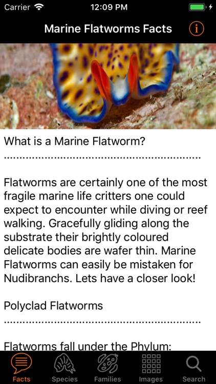 Marine Flatworms ID
