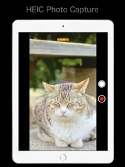the simple camera ipad resimleri 3