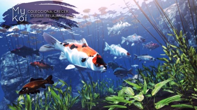 My Koi captura de pantalla #1