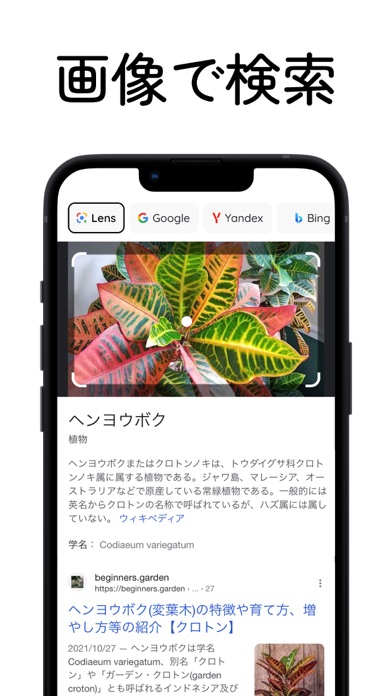 Lens (レンズ) 画像で検索とビデオ！類似顔や動画を探すのおすすめ画像1