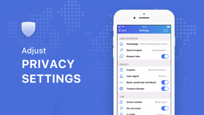 Скачать vpn browser tor hudra Скачать vpn browser tor hudra как установить флеш плеер для браузера тор hudra