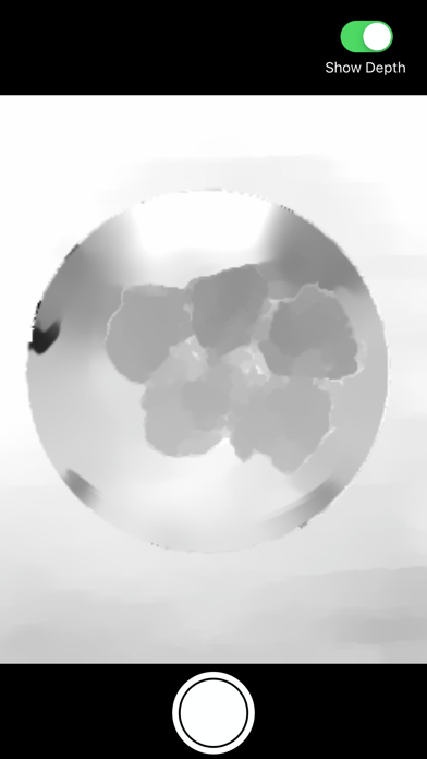 Screenshot #2 pour DepthCalorieCam