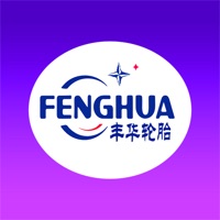 丰华轮胎 pour PC