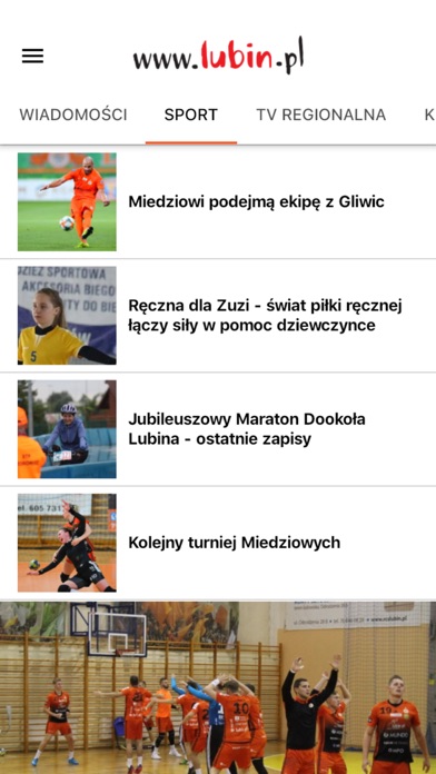 Lubin.pl screenshot 2