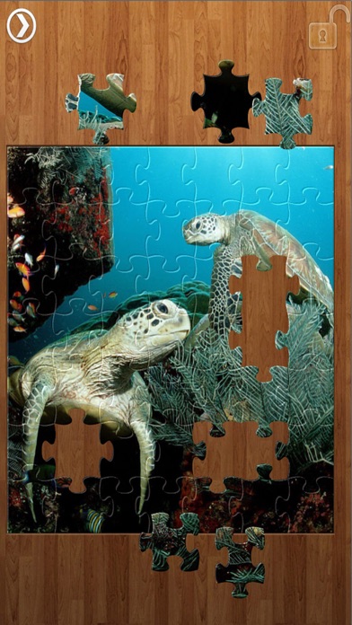 Screenshot #2 pour Sea life Jigsaw Puzzles -Titan