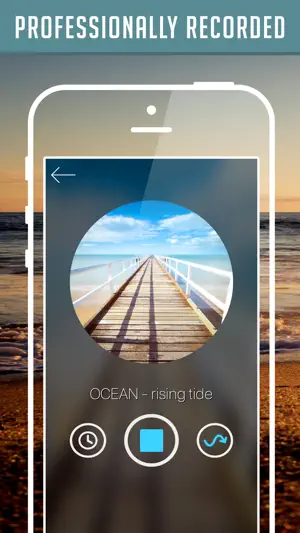 Nature Soundscapes screenshot 2