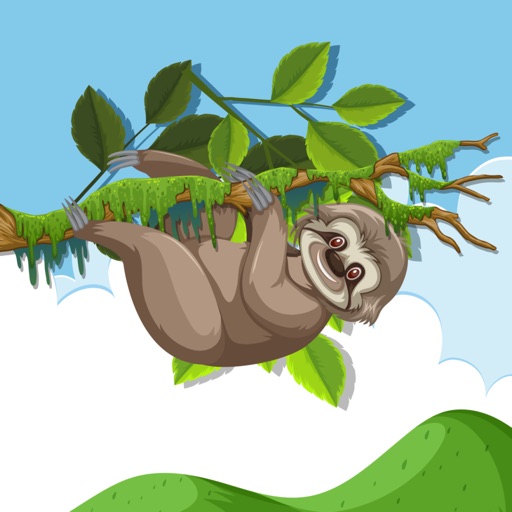 SLOTH CLIMBING