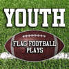 The Flag Football Playbook - Youth Flag Football Plays アートワーク