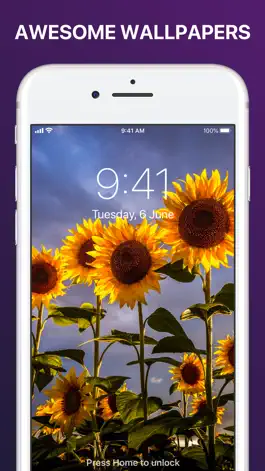 Game screenshot Wallpapers apk