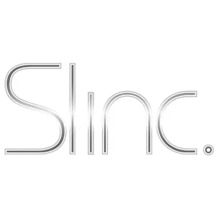 Slinc. Читы