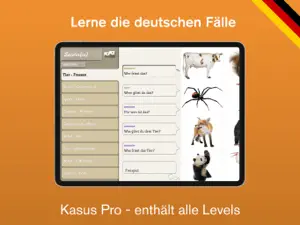 Lexico Kasus Pro screenshot #2 for iPad