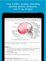 Nursing Dictionary by Farlex ipad bilder 2