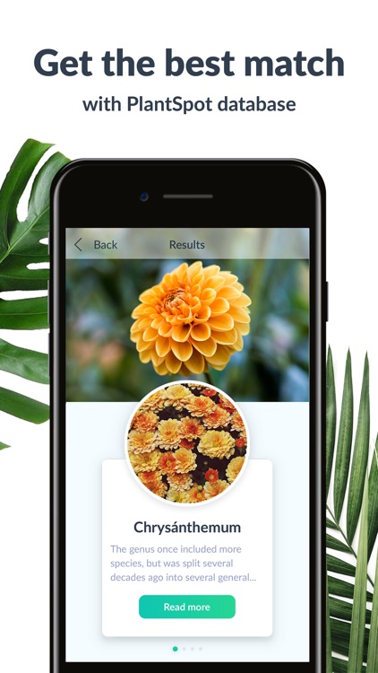 PlantSpot - Plant Identifier
