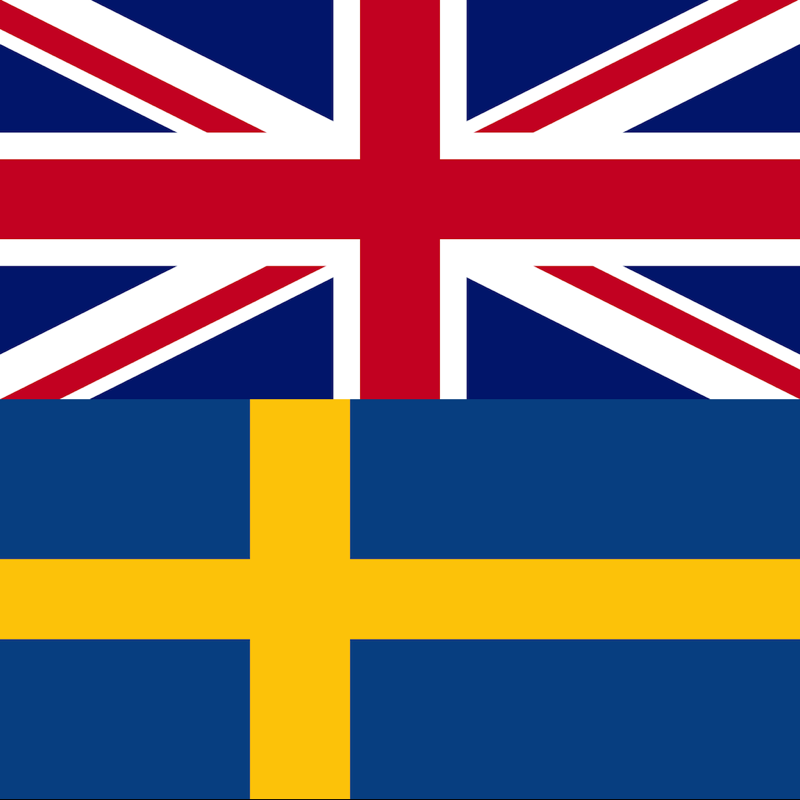 English Swedish Dictionary +