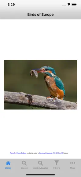 Game screenshot Birds Of Europe mod apk