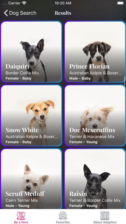 Adopt Pet screenshot-3