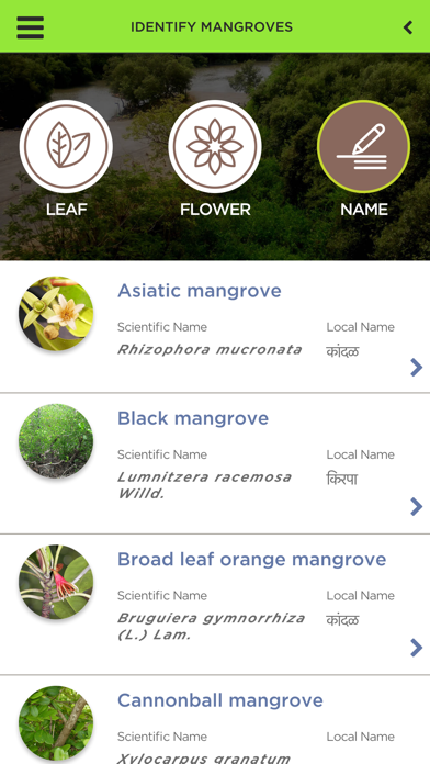 Mangrove Screenshot