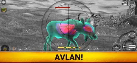 Wild Hunt: Hunting Simulator