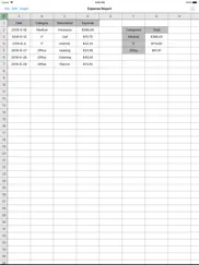 utility spreadsheet pro ipad resimleri 3