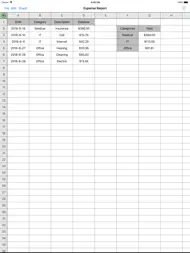 Utility Spreadsheet Pro ipad bilder 2