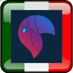 M&I Italian Vocabulary Trainer App Contact