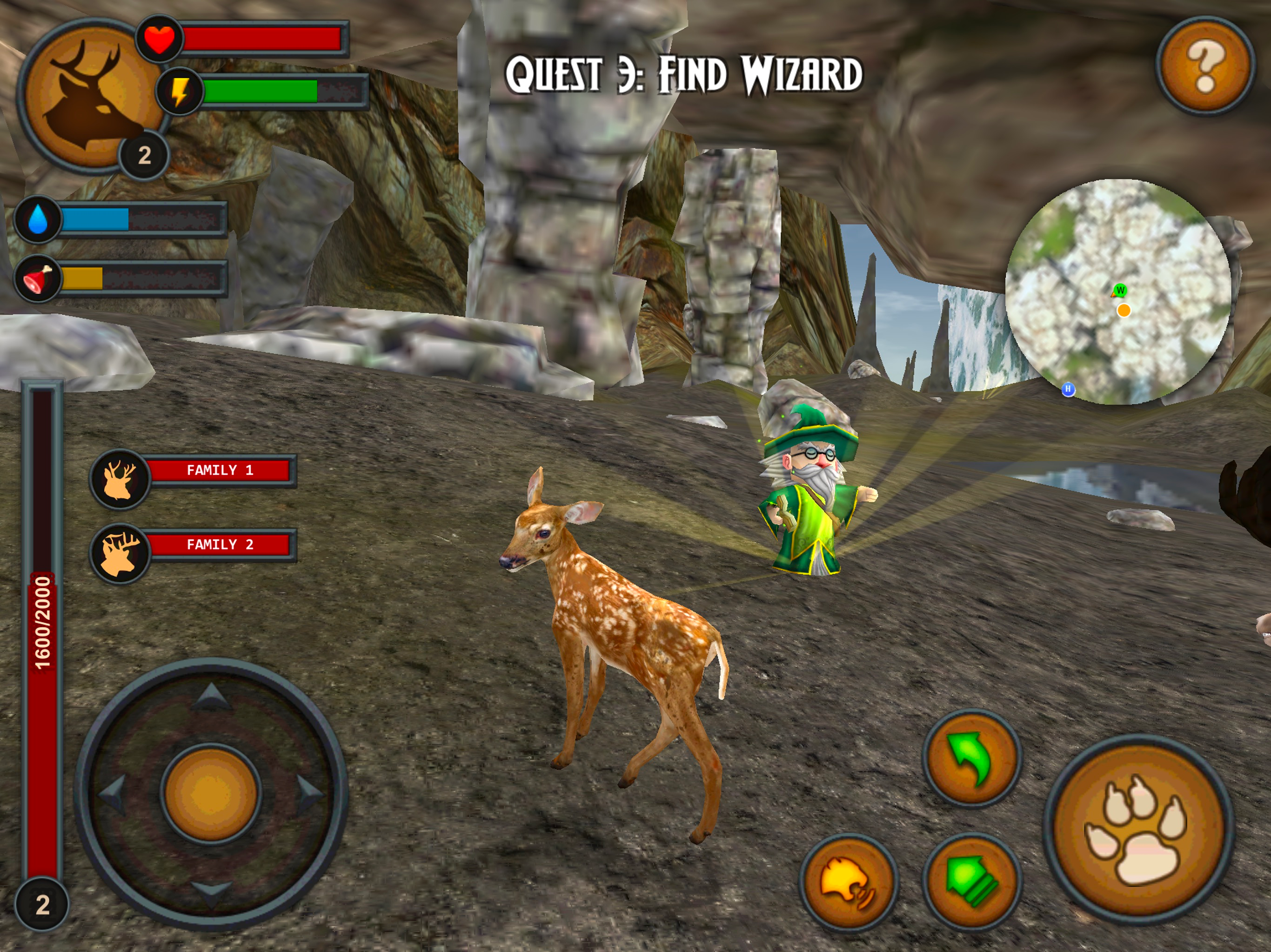 Deer of the Forest