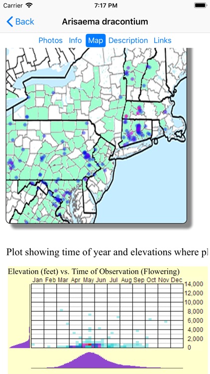 New York Wildflowers screenshot-5