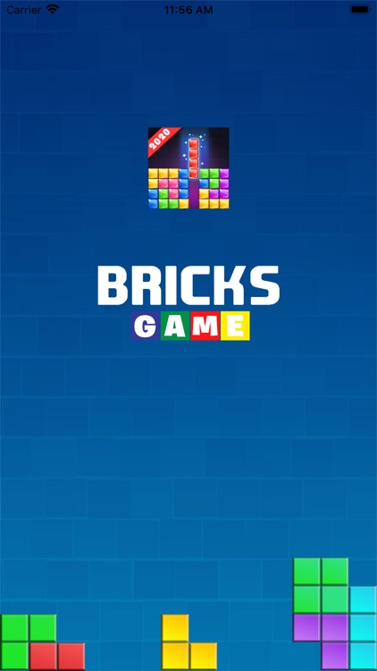 Bricks and Blocks Game