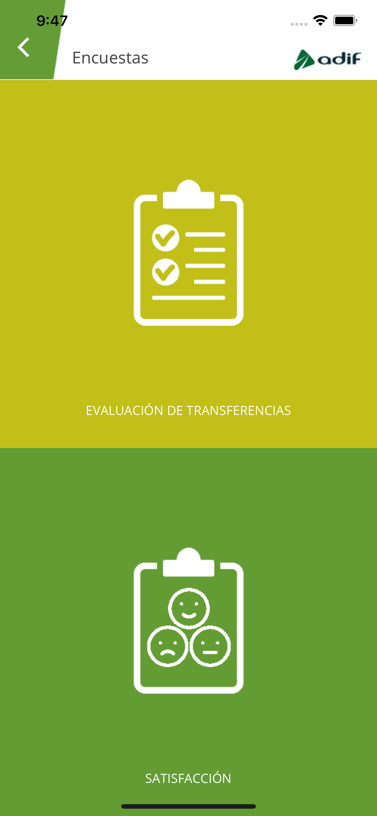 Mi Formación