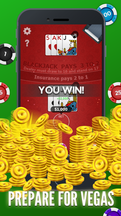 Blackjack Free! screenshot 5