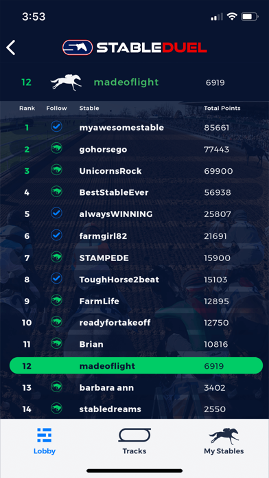 StableDuel Screenshot