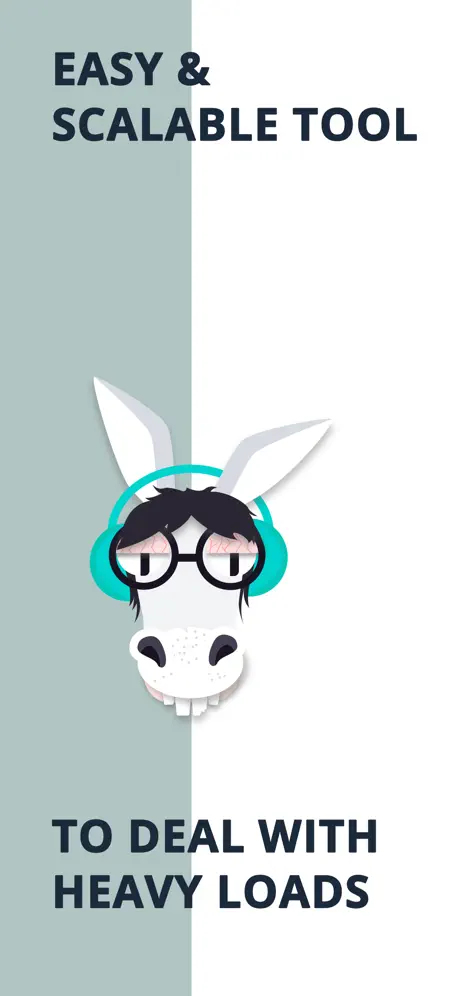 Brainy Donkey