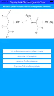 glycolysis glucogenesis tutor problems & solutions and troubleshooting guide - 2