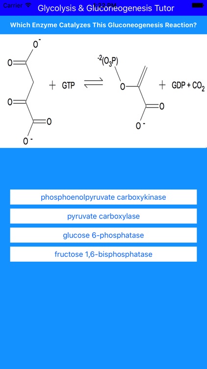 Glycolysis Glucogenesis Tutor