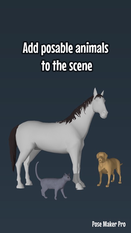 Pose Maker Pro - Art poser app screenshot-8
